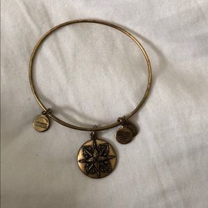 alex and ani love and unity bracelet